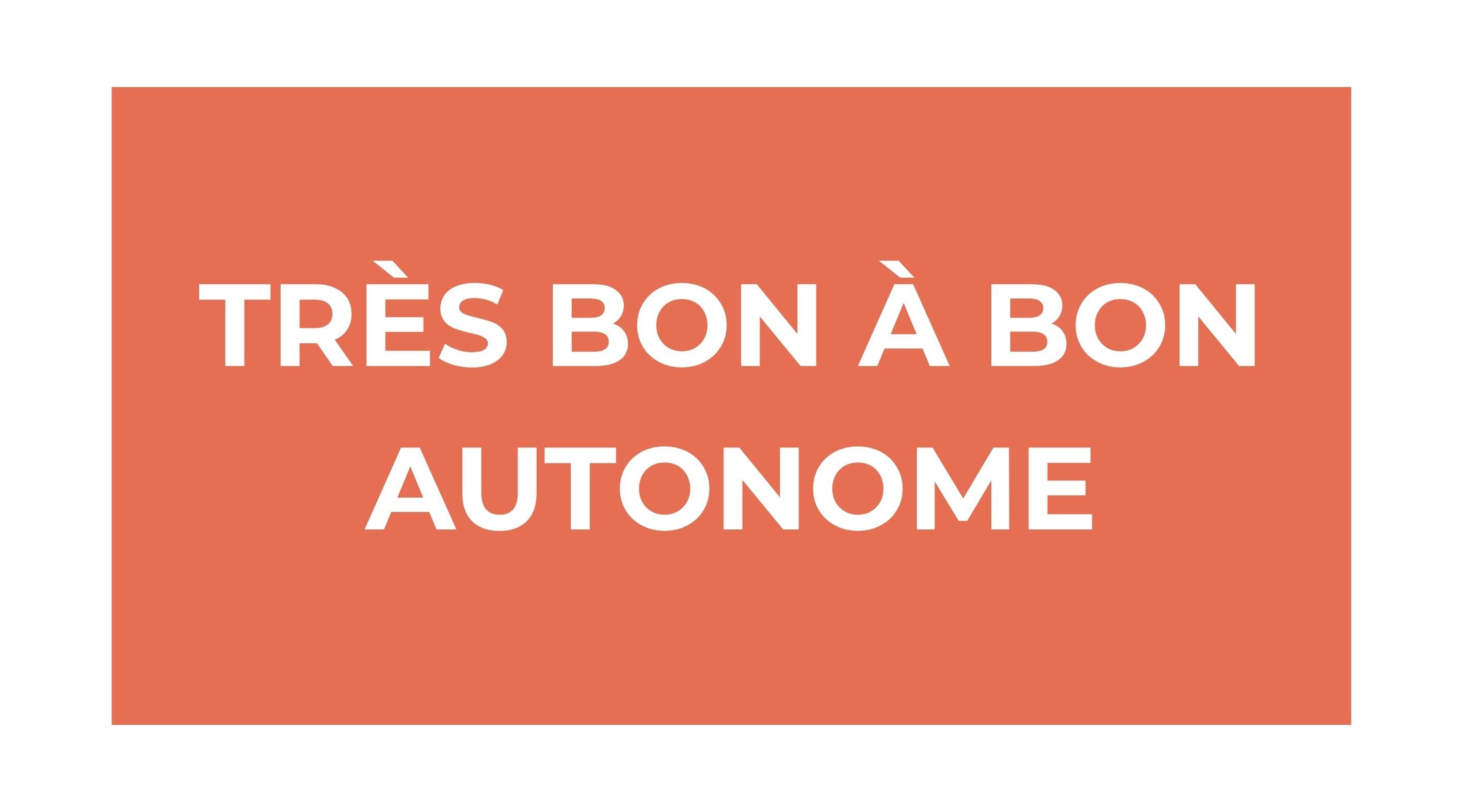 Séjours et voyages adaptés pour adulte très bon et bon autonome